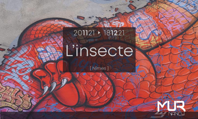Le Mur Nancy présente L’insecte (20-11 au 18-12)