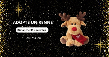 Des centaines de petits rennes offerts aux enfants ! - Saint-Sebastien Nancy